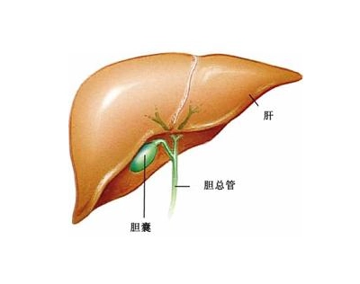广州中医肿瘤专家:胆囊癌有那些症状又该怎么治疗
